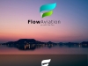 Flow Aviation logó terv